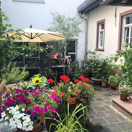 Luxury Near Frankfurt 8 Person 24 7 Check Hanau